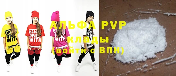 a pvp Бородино