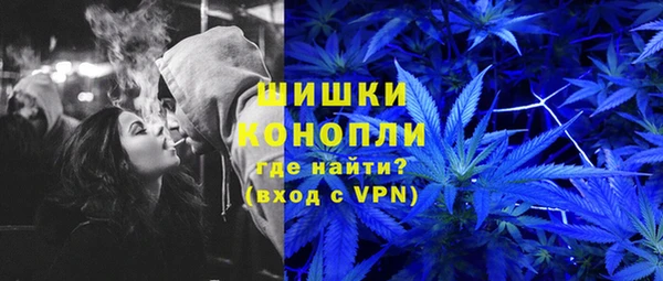 a pvp Бородино