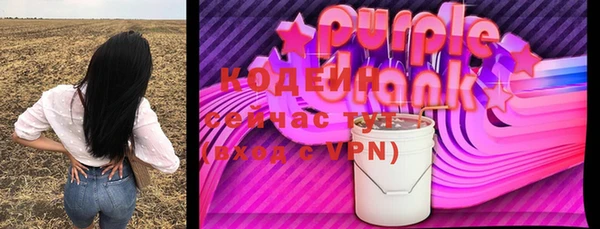 a pvp Бородино