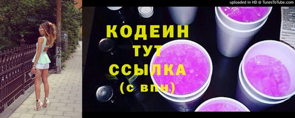 a pvp Бородино