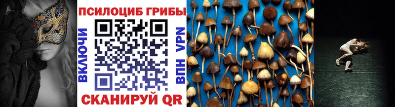 Псилоцибиновые грибы Psilocybe  Кировград 