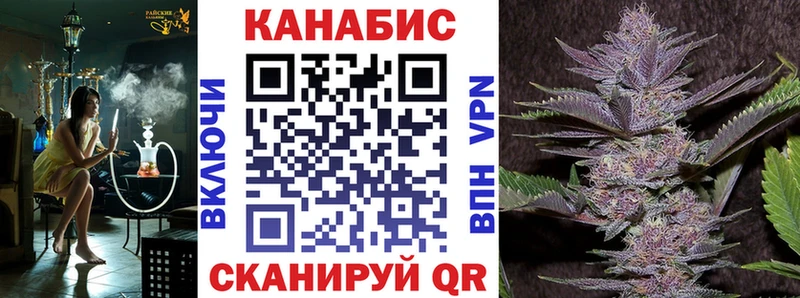 Каннабис план  как найти закладки  Кировград 
